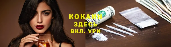 спайс Алексин