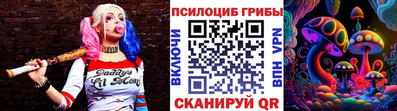 Псилоцибиновые грибы MAGIC MUSHROOMS  дарк нет состав  Заозёрный 